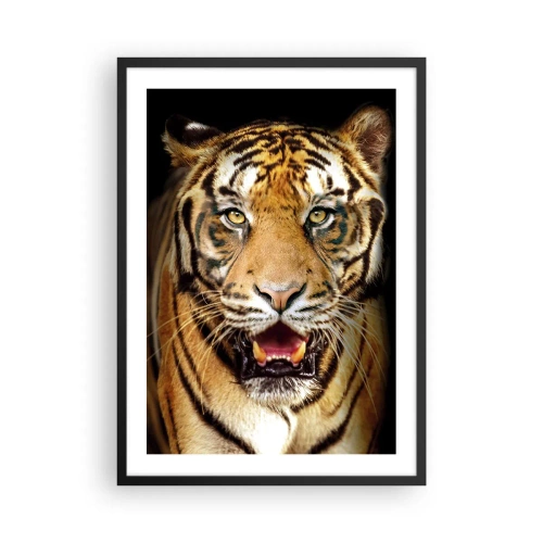 Plagát v čiernom ráme - Portrét tigra na čiernom pozadí - 50x70cm - Divokosť v srdci - Moderná nástenná dekorácia do obývacej izby a spálne ARTTOR