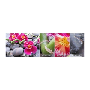 Vzorka fototapety Premium Canvas - Chlad a žiara - Kvety, Kamene, Orchidea - 100x30 cm