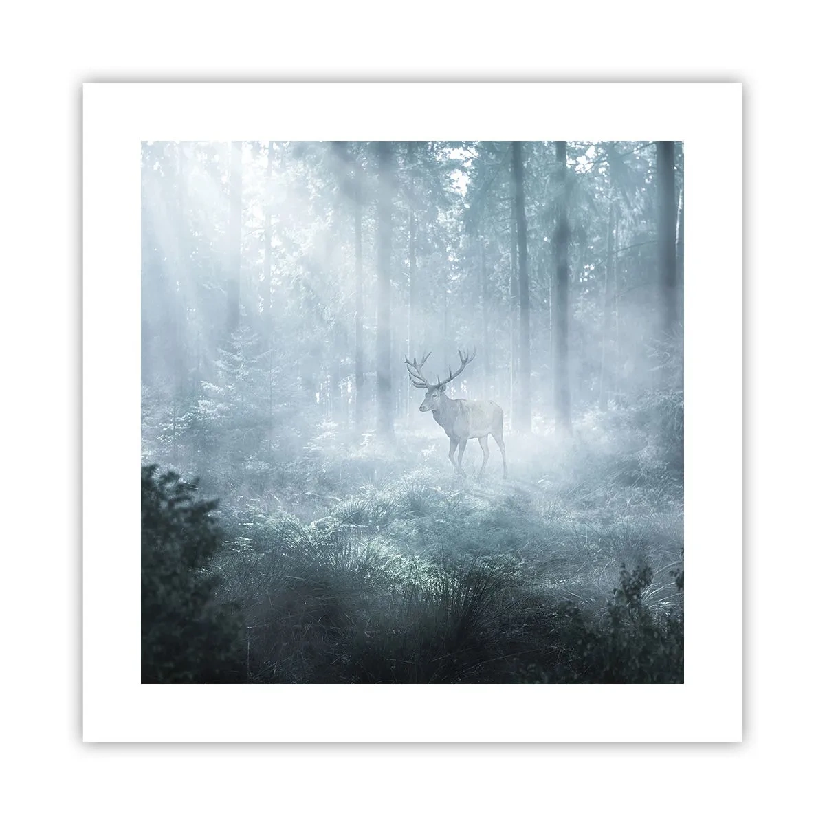 Plagát - Ranná obchôdzka sídliska - 40x40 cm