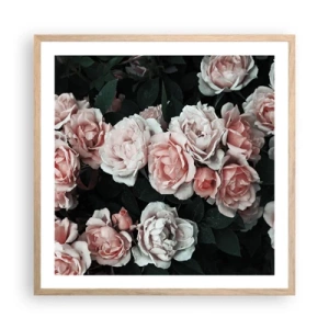 Plagát v ráme zo svetlého duba - Ružový ansámbl - 60x60 cm