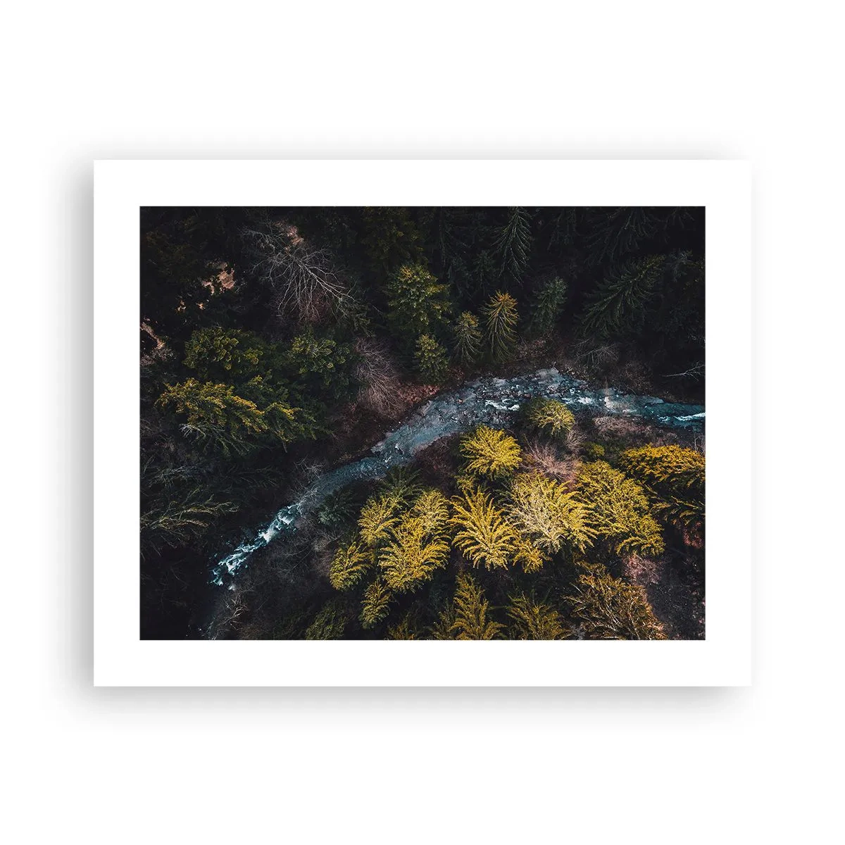 Plagát - Rýchlo, stále rýchlejšie - 50x40 cm