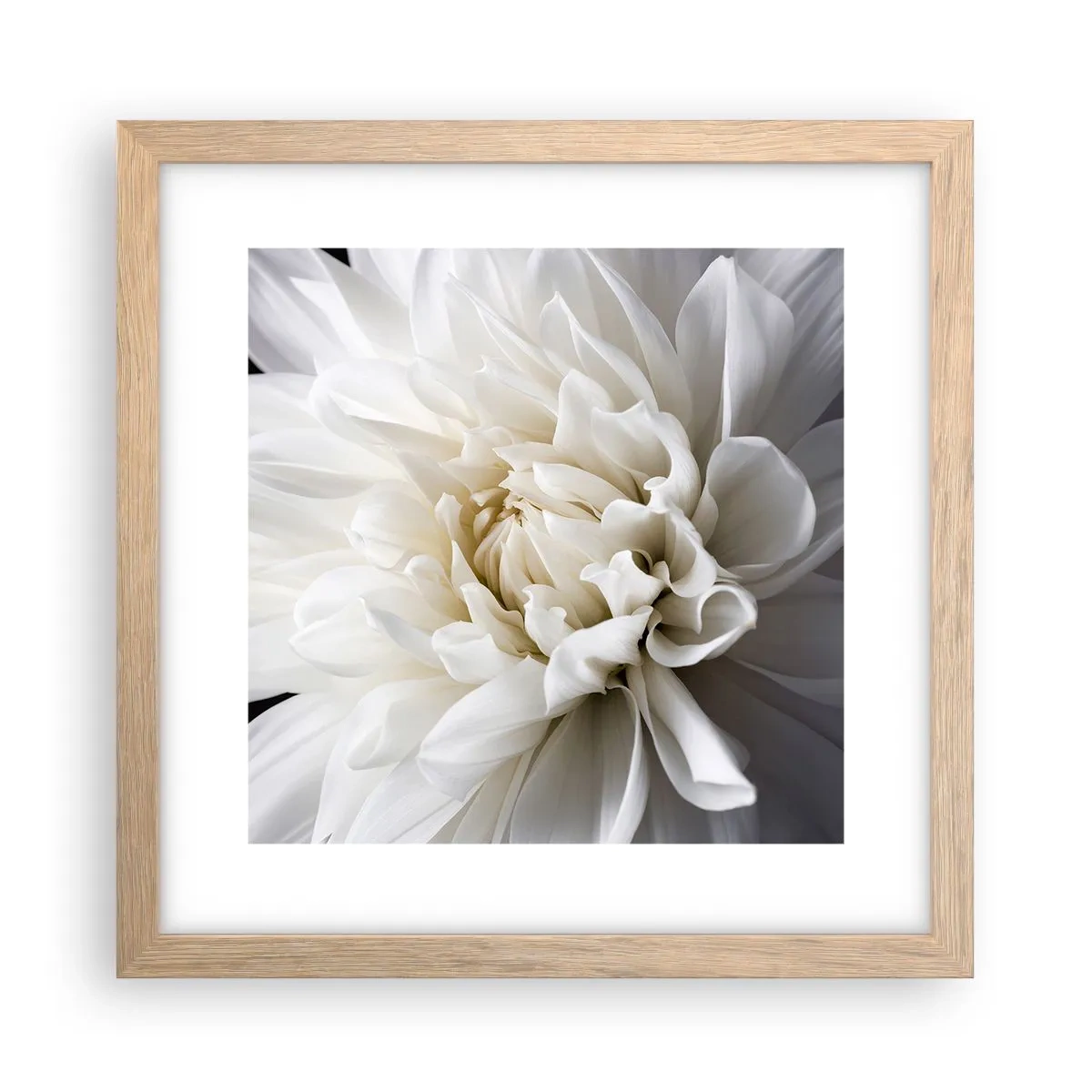 Plagát v ráme zo svetlého duba - Ráno s nevestou - 30x30 cm