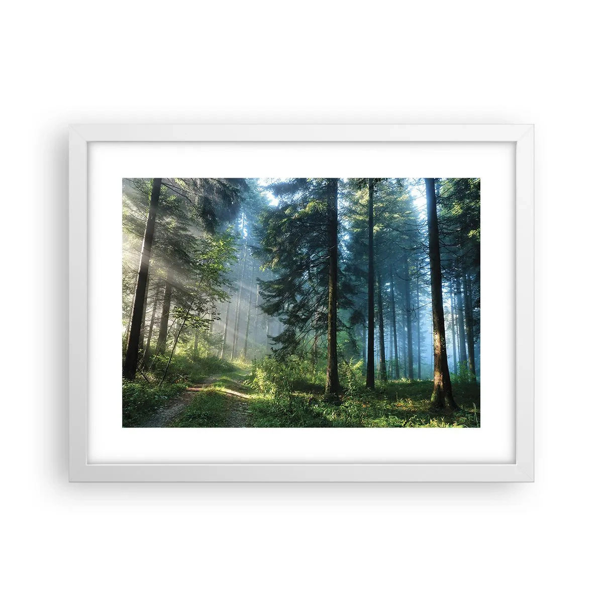 Plagát v bielom ráme - Žiariaci za úsvitu - 40x30 cm