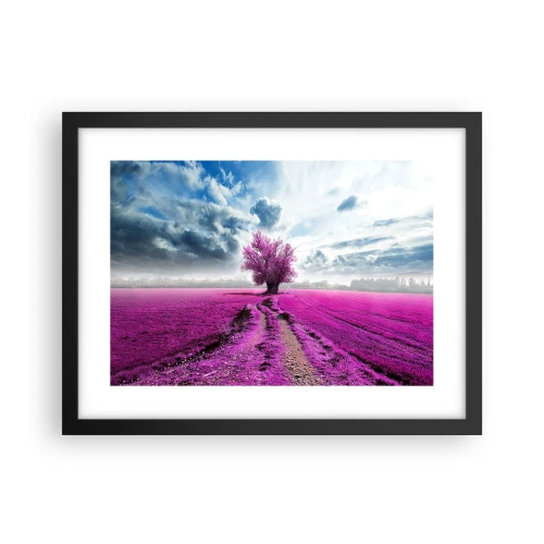 Plagát v čiernom ráme - Vresoviská - divočina - 40x30 cm