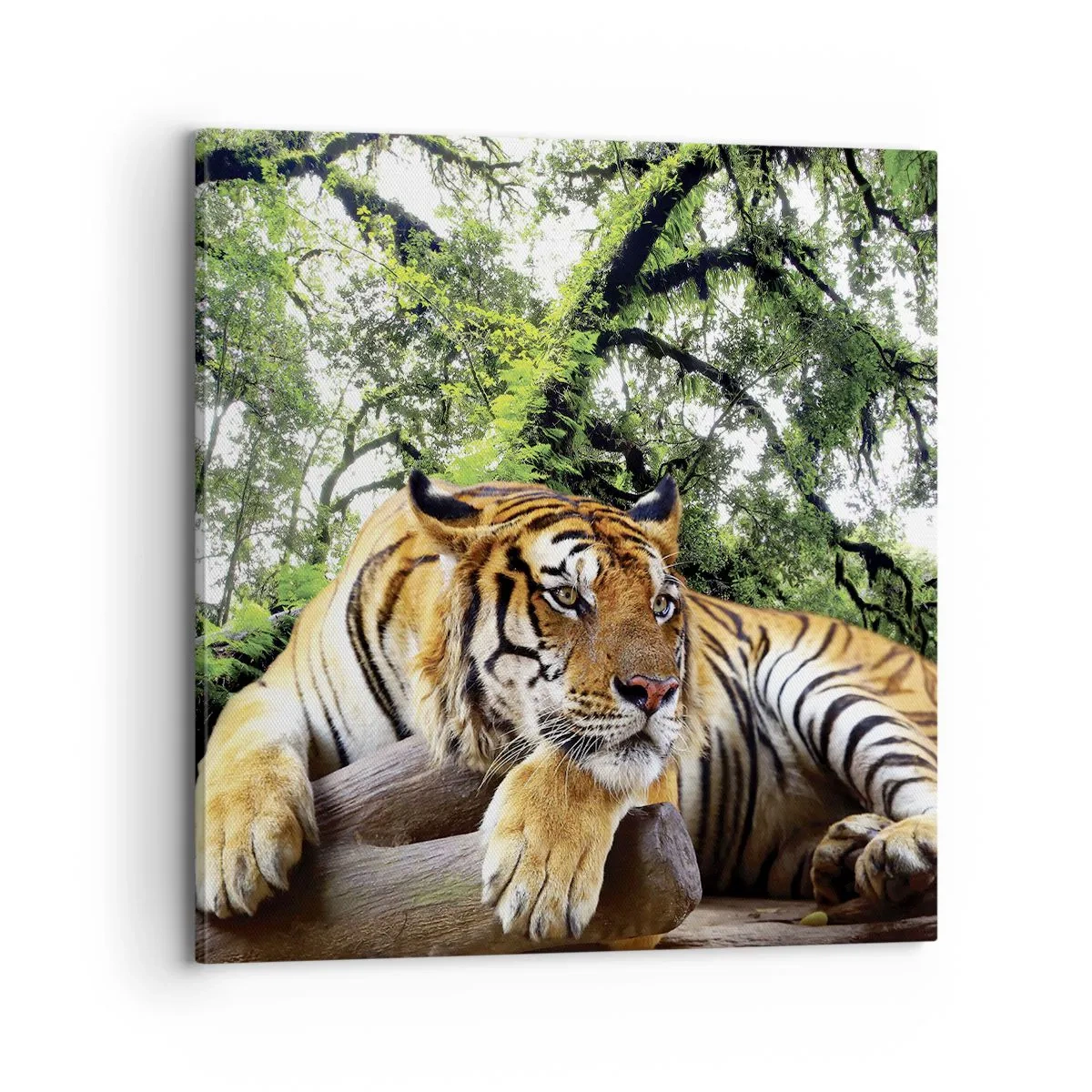 Obraz na plátne - S úctou - 70x70 cm