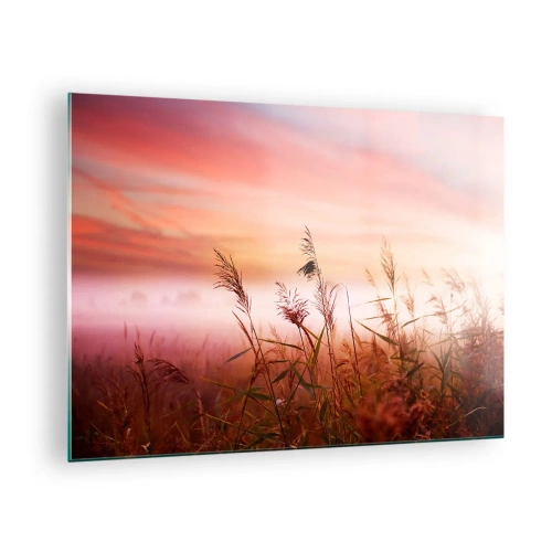 Obraz na skle - Lúka v rannej hmle s pastelovou oblohou - 70x50cm - Draci, púpavy a vietor - Moderná nástenná dekorácia do obývacej izby a spálne ARTTOR