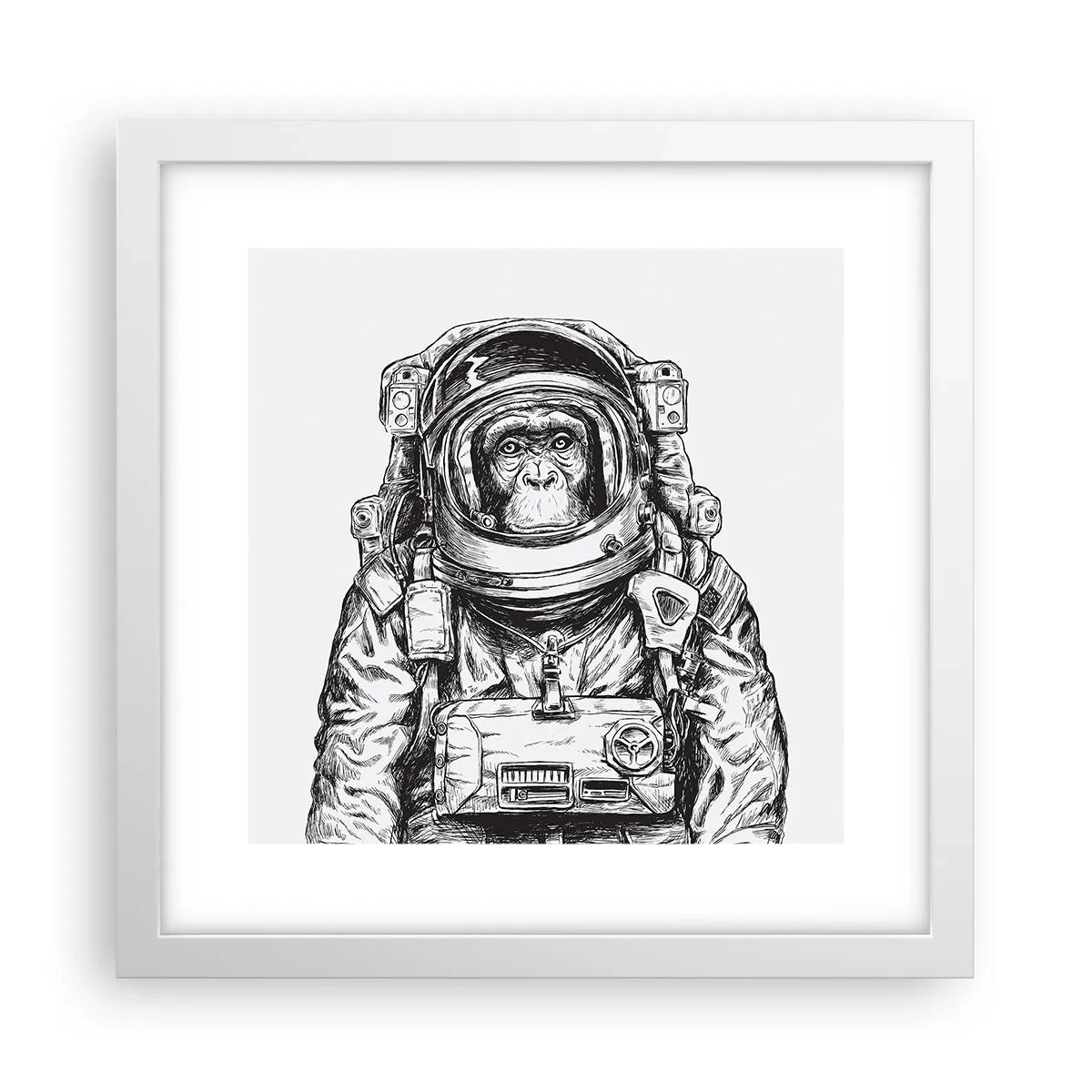 Plagát v bielom ráme - Alternatívny vývoj - 30x30 cm