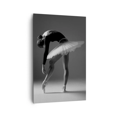 Obraz na plátne - Bella ballerina - 80x120 cm