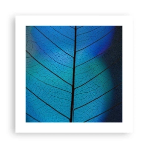 Plagát - Až do detailov - 40x40 cm