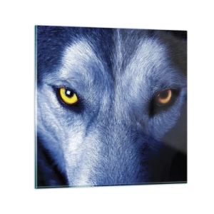 Obraz na skle - Fascinujúci pohľad - 30x30 cm