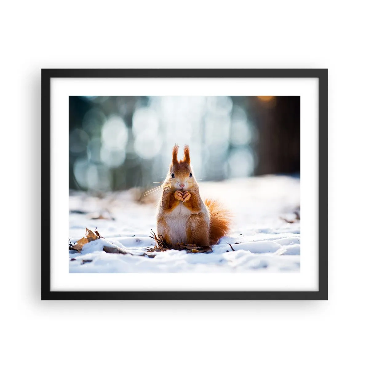 Plagát v čiernom ráme - Čo sa tak pozeráš? - 50x40 cm