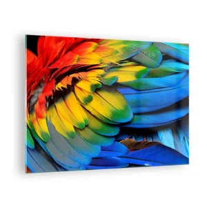 Obraz na skle - Farebné papagájové perie v intenzívnych farbách dúhy - 70x50cm - Nebeský vták - Moderná nástenná dekorácia do obývacej izby a spálne ARTTOR
