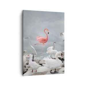 Obraz na plátne - Kde som sa tu vzal? - 50x70 cm