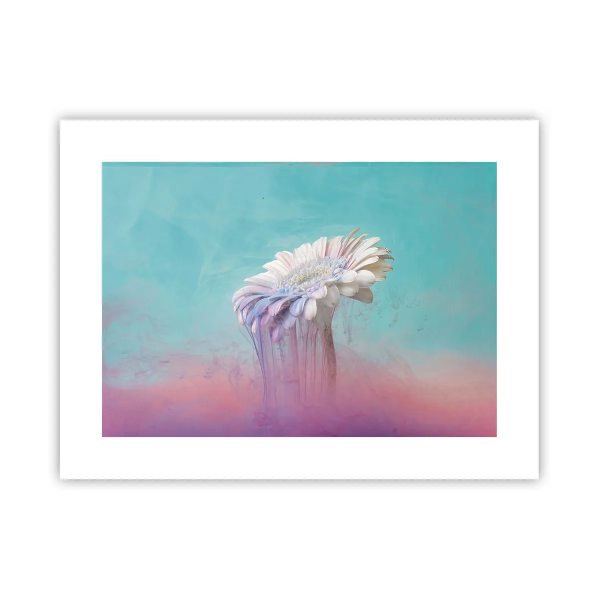 Plagát - Záhrobia kvetín - 40x30 cm