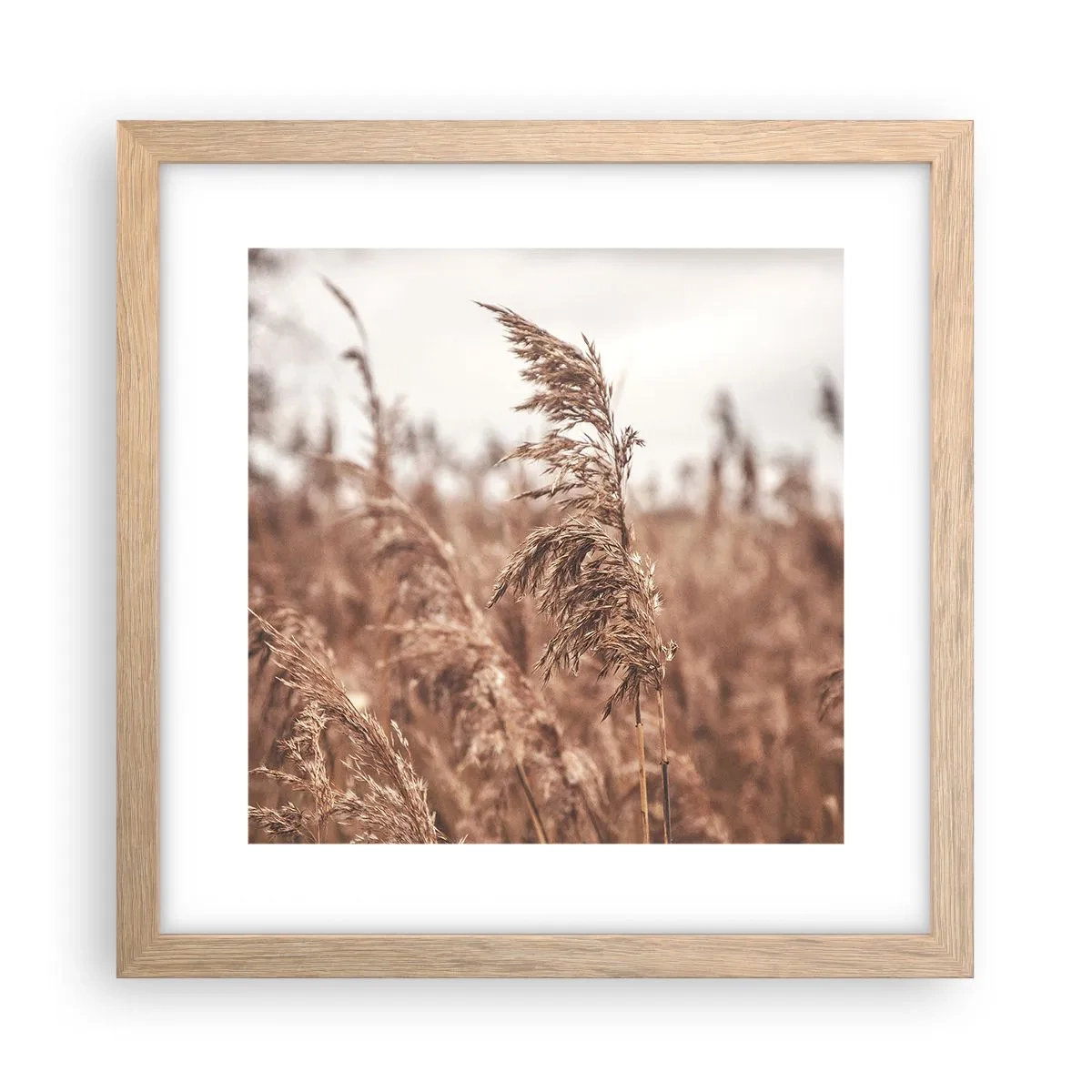 Plagát v ráme zo svetlého duba - Na poliach už je jeseň - 30x30 cm