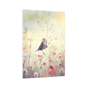 Obraz na skle - Portrét vtáka s lúkou v pozadí - 70x100 cm