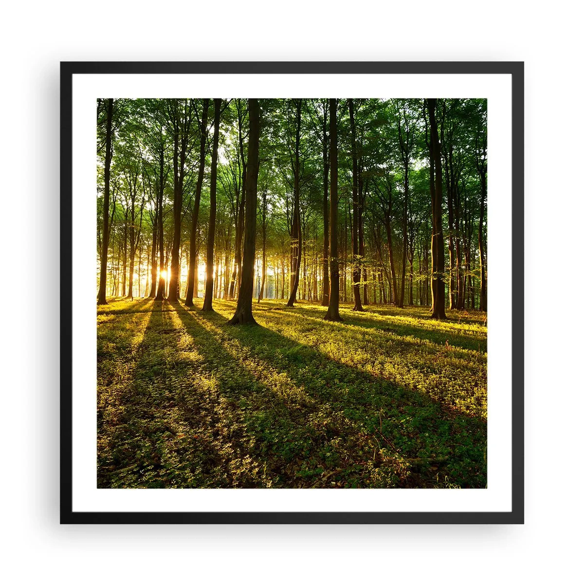 Plagát v čiernom ráme - Fotografie všetkých jarí - 60x60 cm