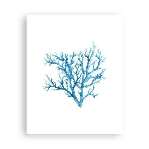 Plagát - Morský filigrán - 40x50 cm