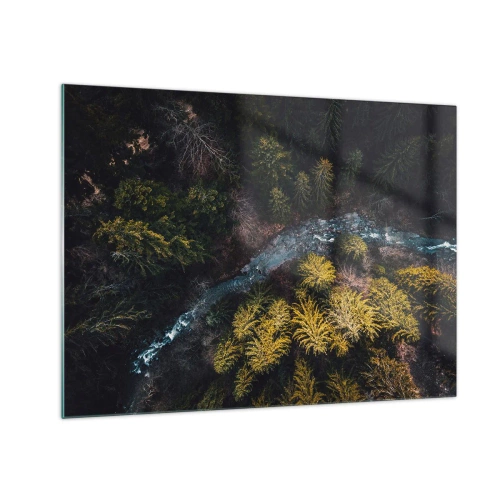 Obraz na skle - Pohľad z vtáčej perspektívy na lesnú krajinu s kľukatým potokom - 70x50cm - Rýchlo, stále rýchlejšie - Moderná nástenná dekorácia do obývacej izby a spálne ARTTOR