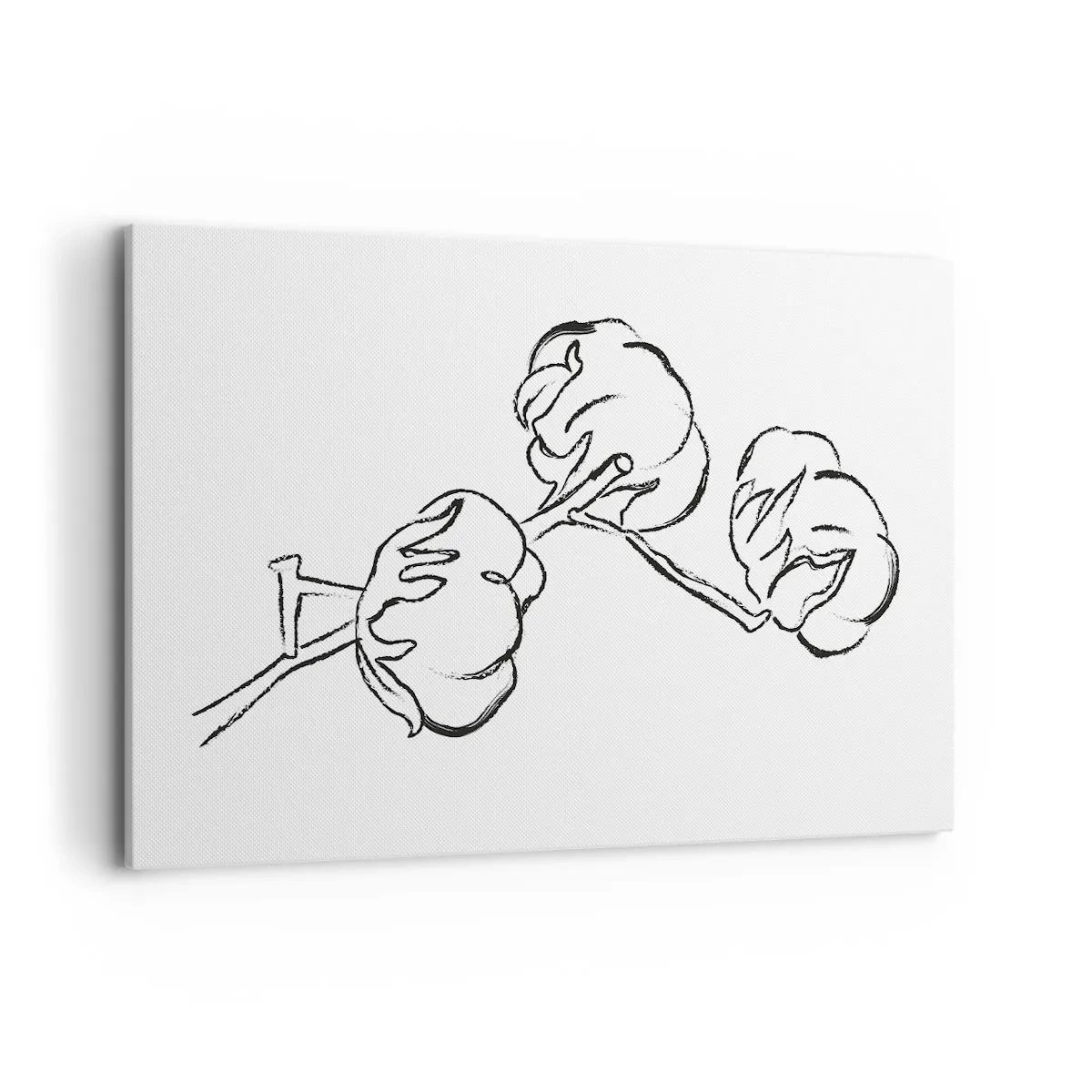 Obraz na plátne - Bavlnené páperie - 120x80 cm