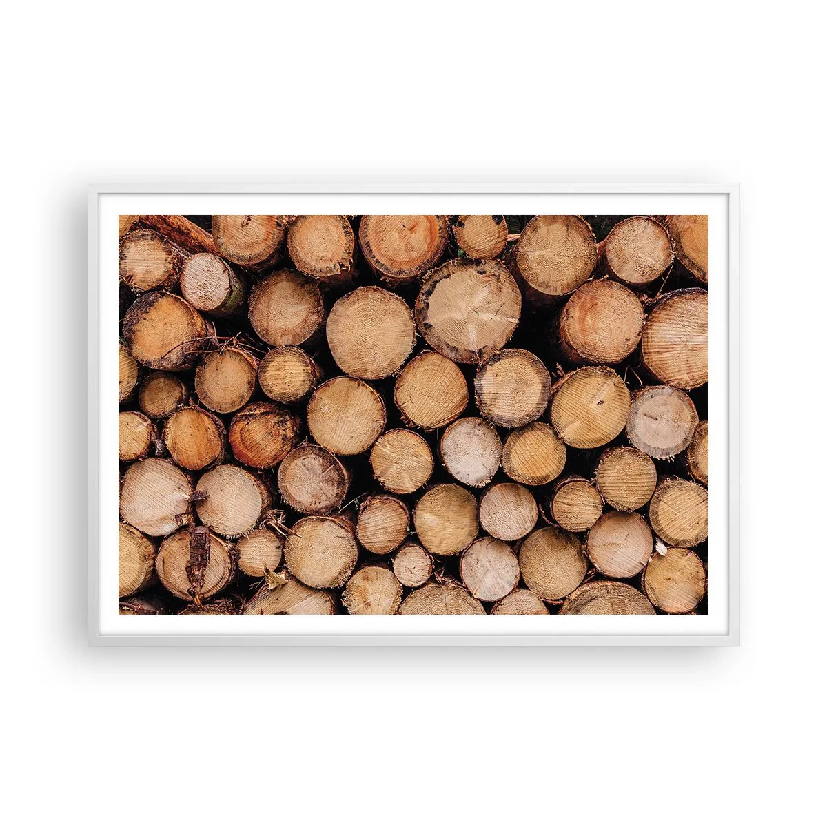 Plagát v bielom ráme - Nový začiatok - 100x70 cm