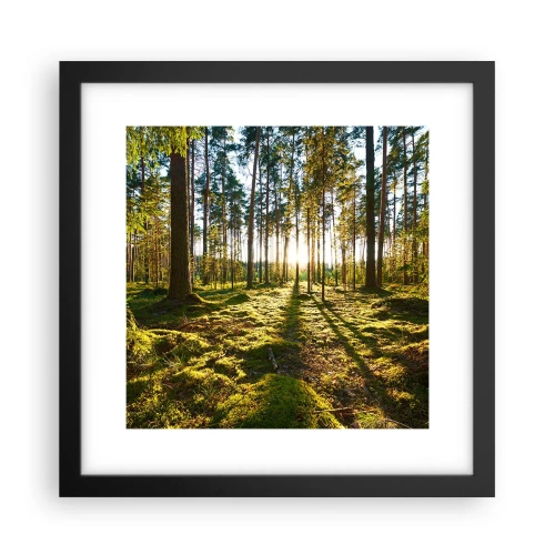 Plagát v čiernom ráme - …Za siedmimi lesmi - 30x30 cm
