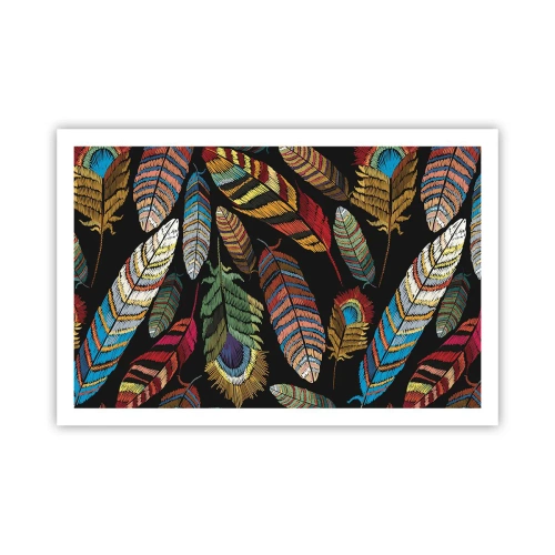 Plagát - Vtáčí karneval - 91x61 cm