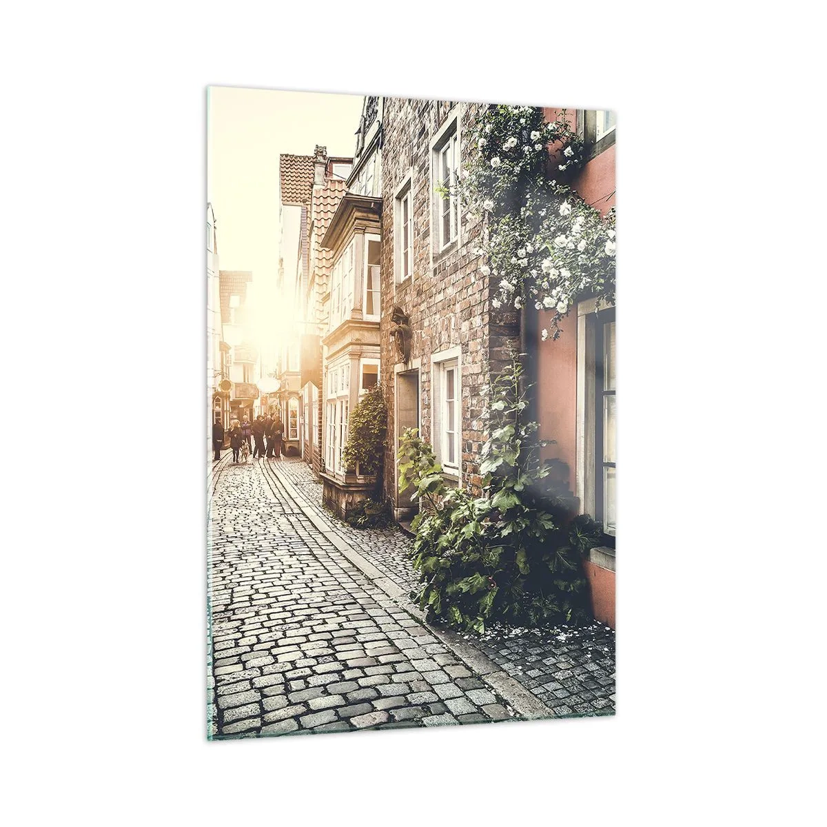 Obraz na skle - Ružová ulička v ružovej žiare - 50x70 cm