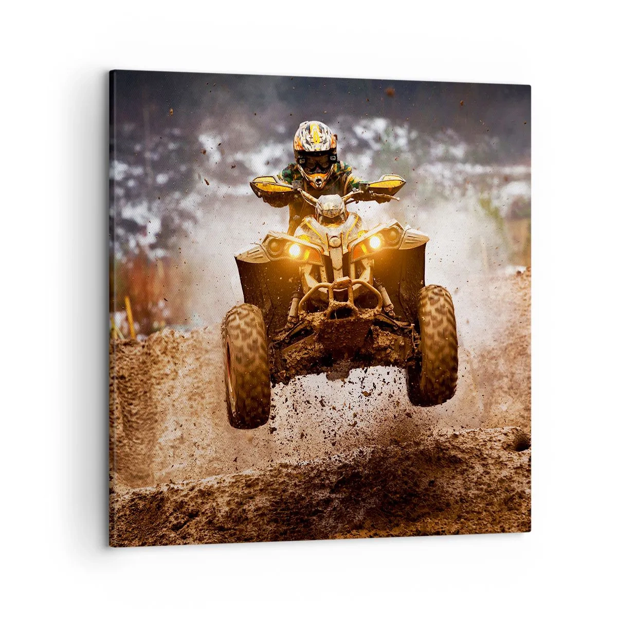 Obraz na plátne - No risk no fun - 50x50 cm