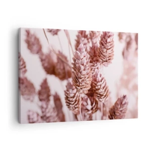 Obraz na plátne - Detailný záber na jemné ružové klasy okrasných tráv - 70x50cm - Zdanlivo nenápadné - Moderná nástenná dekorácia do obývacej izby a spálne ARTTOR