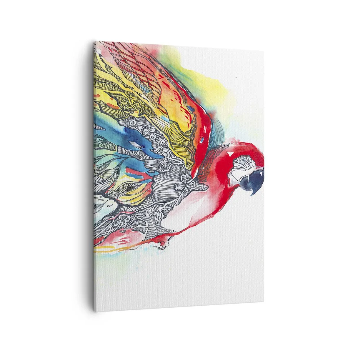 Obraz na plátne - Ži farebne - 50x70 cm