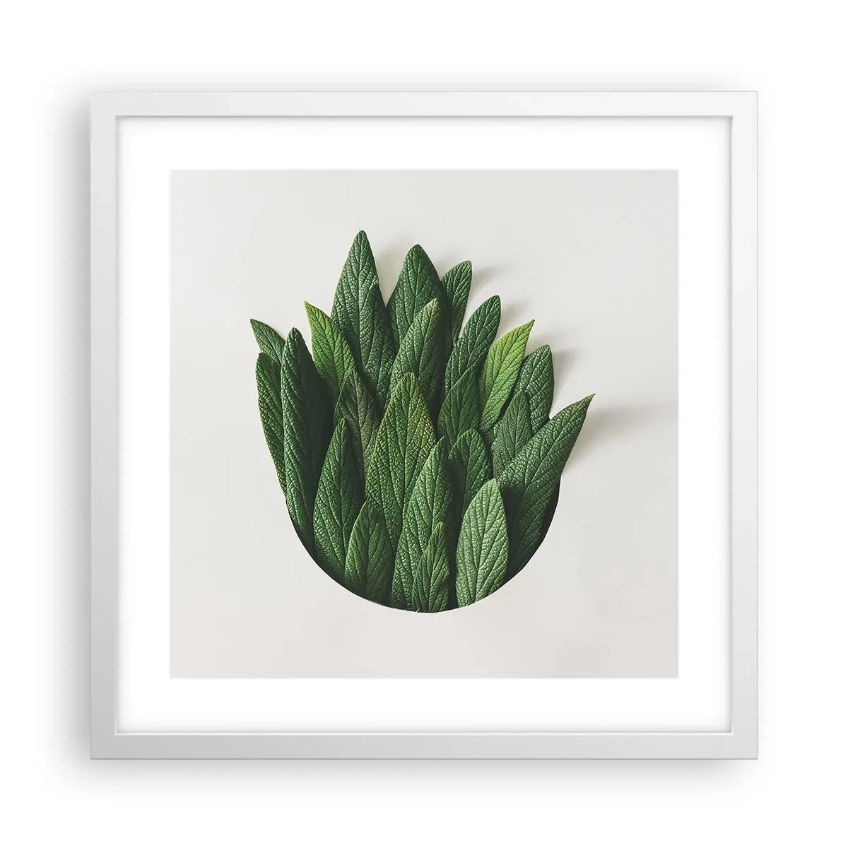 Plagát v bielom ráme - Neukojiteľná zvedavosť - 40x40 cm