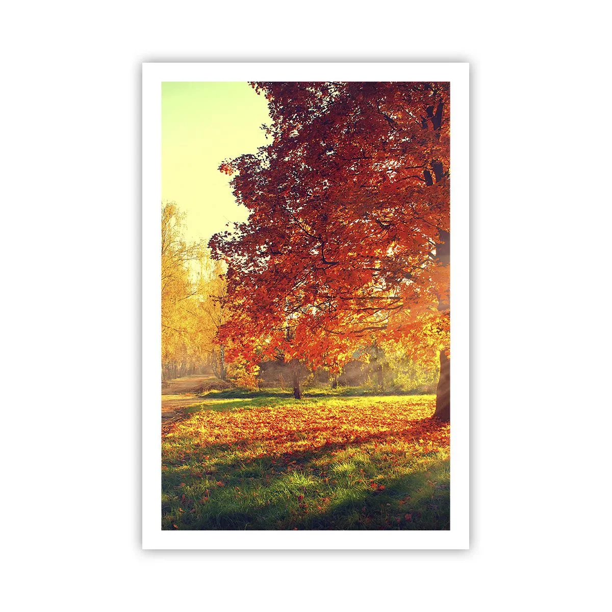 Plagát - Červené je krásne - 61x91 cm