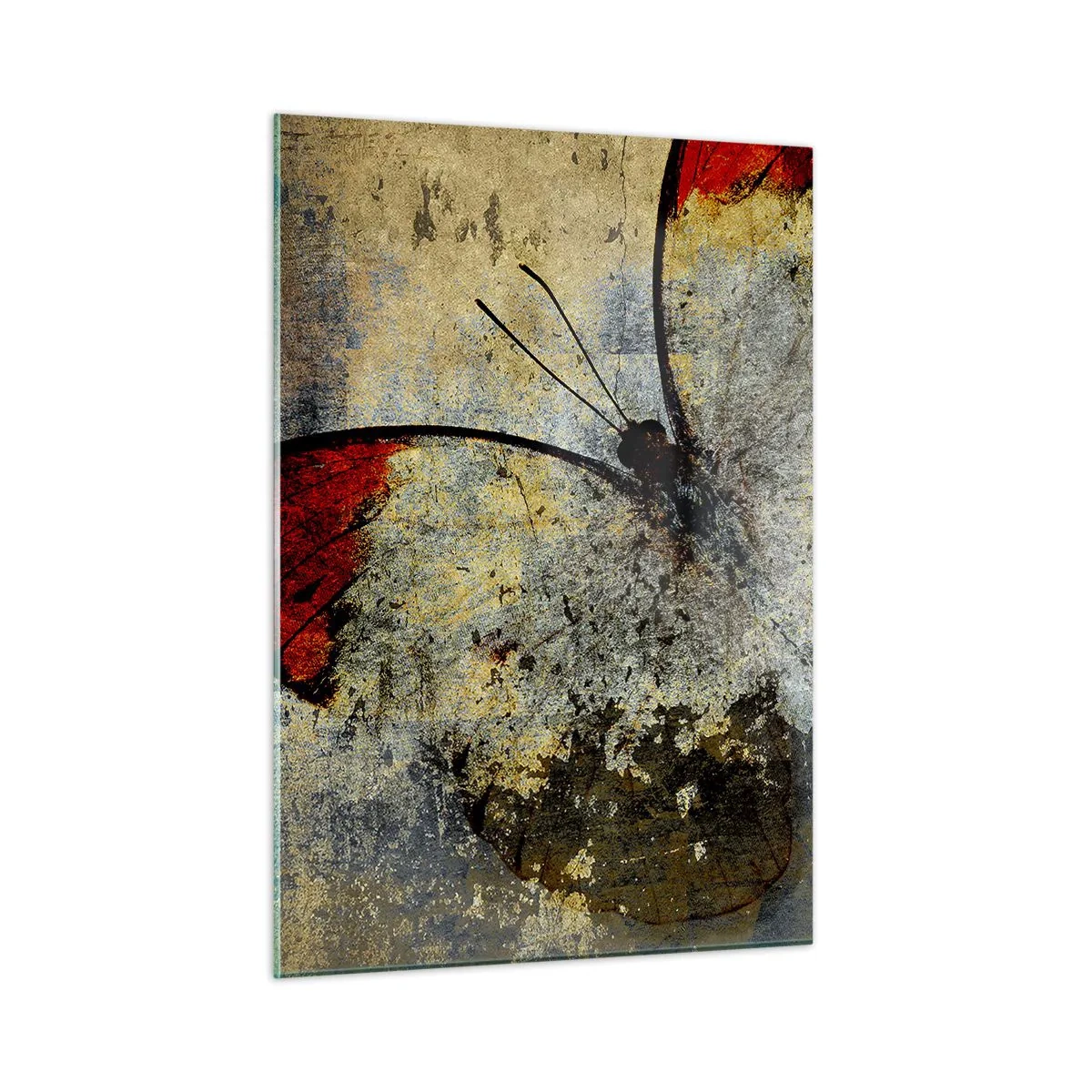 Obraz na skle - Pozri, skôr ako zmiznem - 50x70 cm