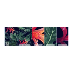 Vzorka Fototapeta Standard Eco - Vzplanúť v zelenom - Kvety, Tropická rastlina, Palmové listy - 100x30 cm