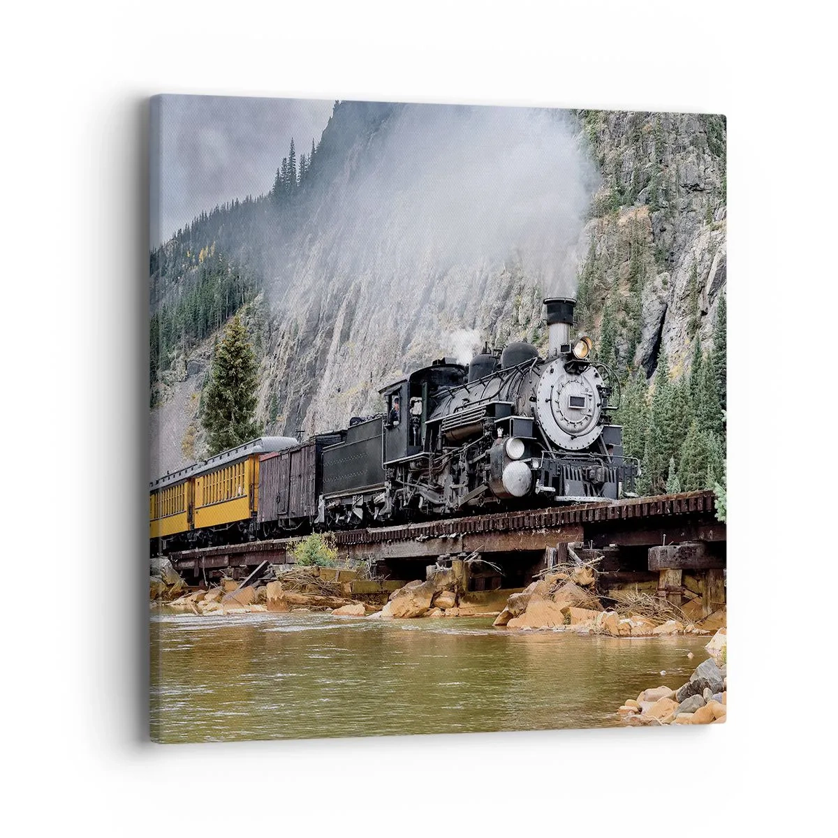 Obraz na plátne - A kam to? Kam? - 40x40 cm