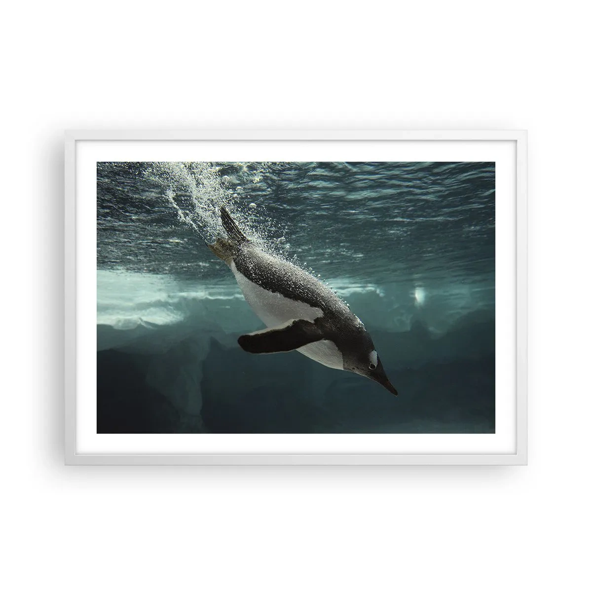 Plagát v bielom ráme - Vitajte v mojom svete - 70x50 cm