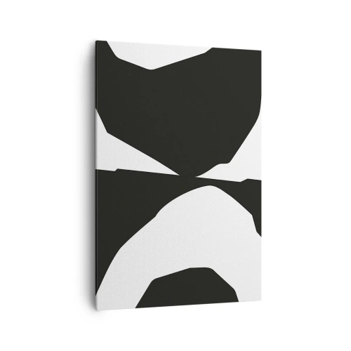 Obraz na plátne - Positive-negative - 70x100 cm