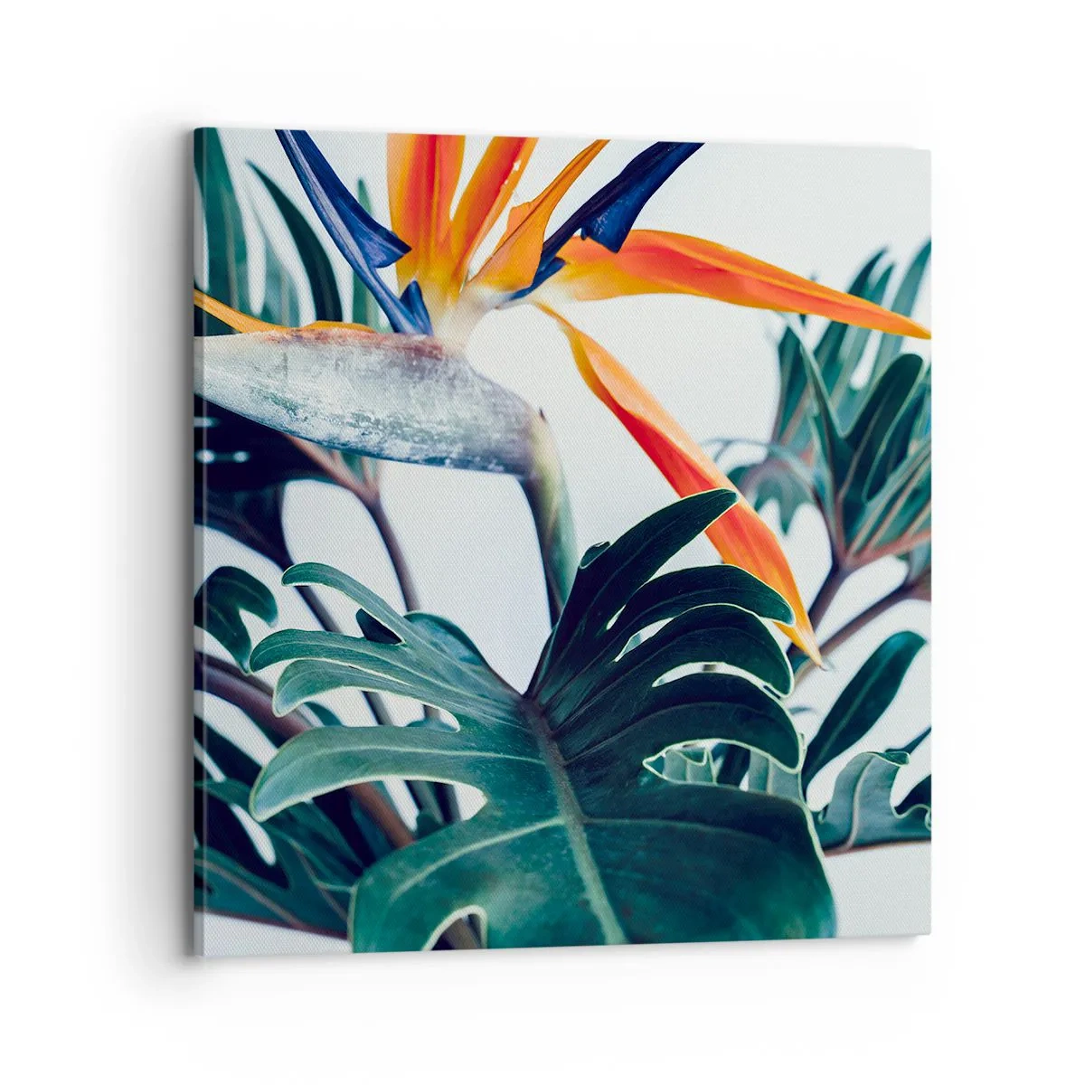 Obraz na plátne - Vtáker - 70x70 cm