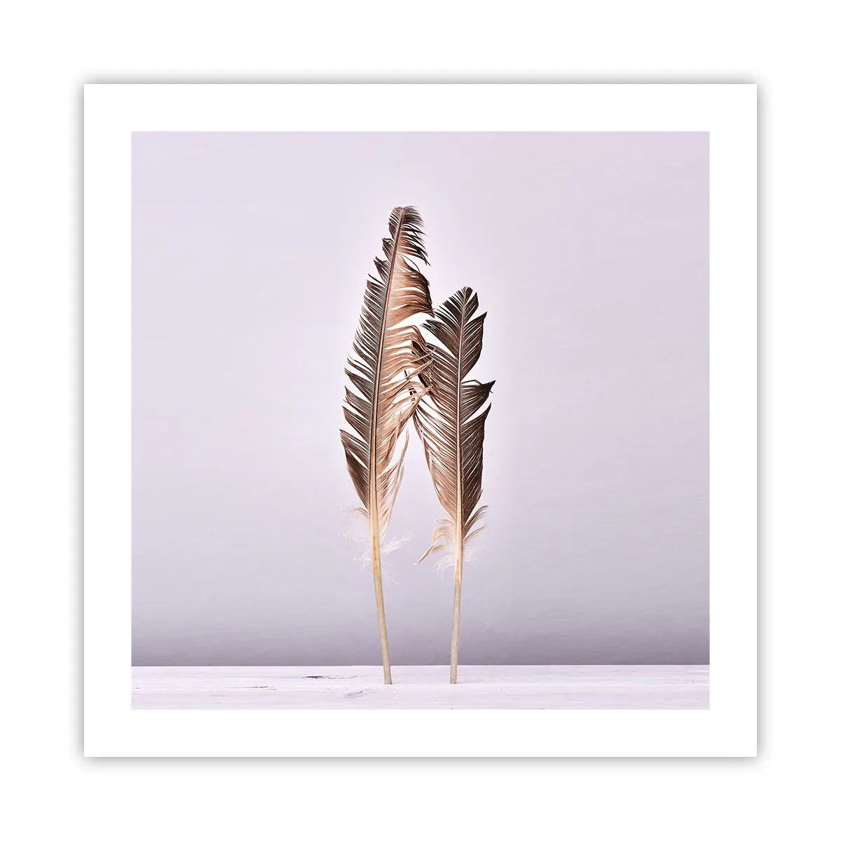 Plagát - Proti ničote - 50x50 cm