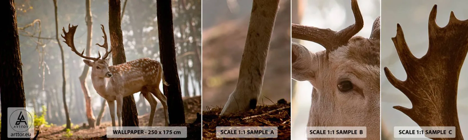 Vzorka Fototapeta Standard Eco - Svetlo mladosti - Zvieratá, Jeleň, les - 100x30 cm