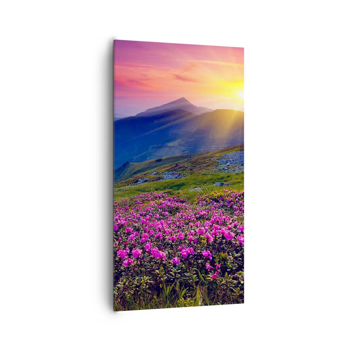 Obraz na plátne - …A okolo vonia kosodrevina a voňajú byliny - 65x120 cm