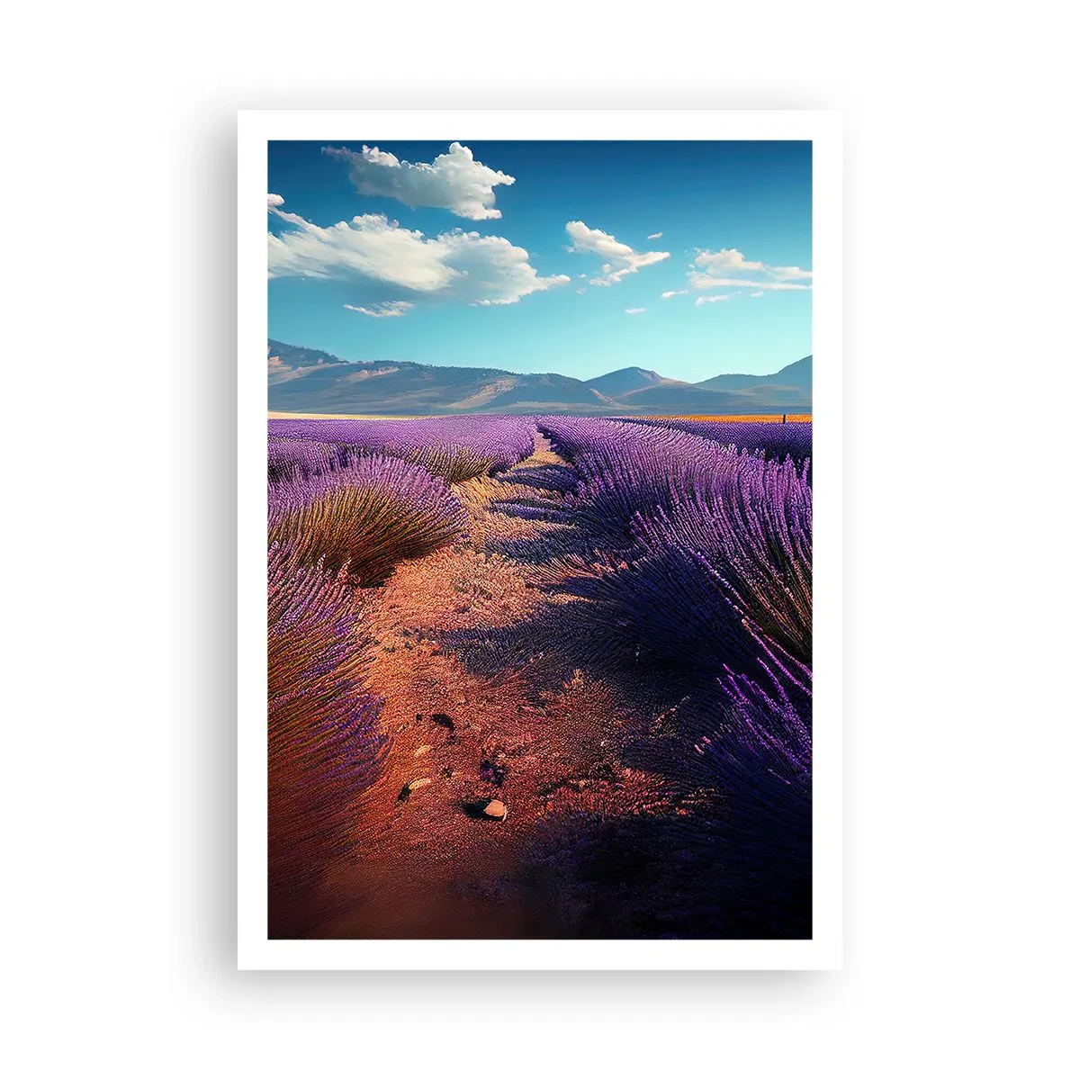 Plagát - Voňavé polia - 70x100 cm