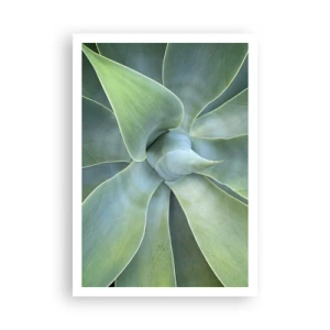 Plagát - Zrodenie zelene - 70x100 cm