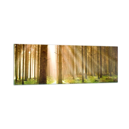 Obraz na skle - Čoskoro sa objavia elfovia - 90x30 cm