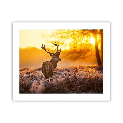 Plagát - Kráľ jesenného lesa - 50x40 cm