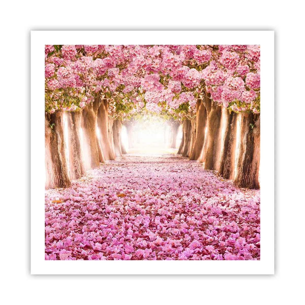 Plagát - Cesta do raja - 60x60 cm