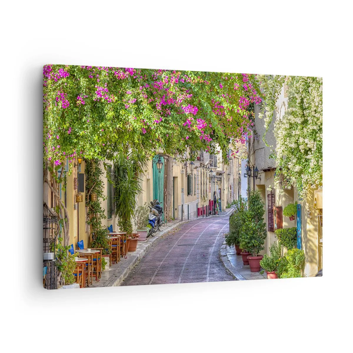 Obraz na plátne - Očarujúca ulica s kvitnúcimi viničmi a kaviarňami - 70x50cm - Kvitnúce zákutie - Moderná nástenná dekorácia do obývacej izby a spálne ARTTOR