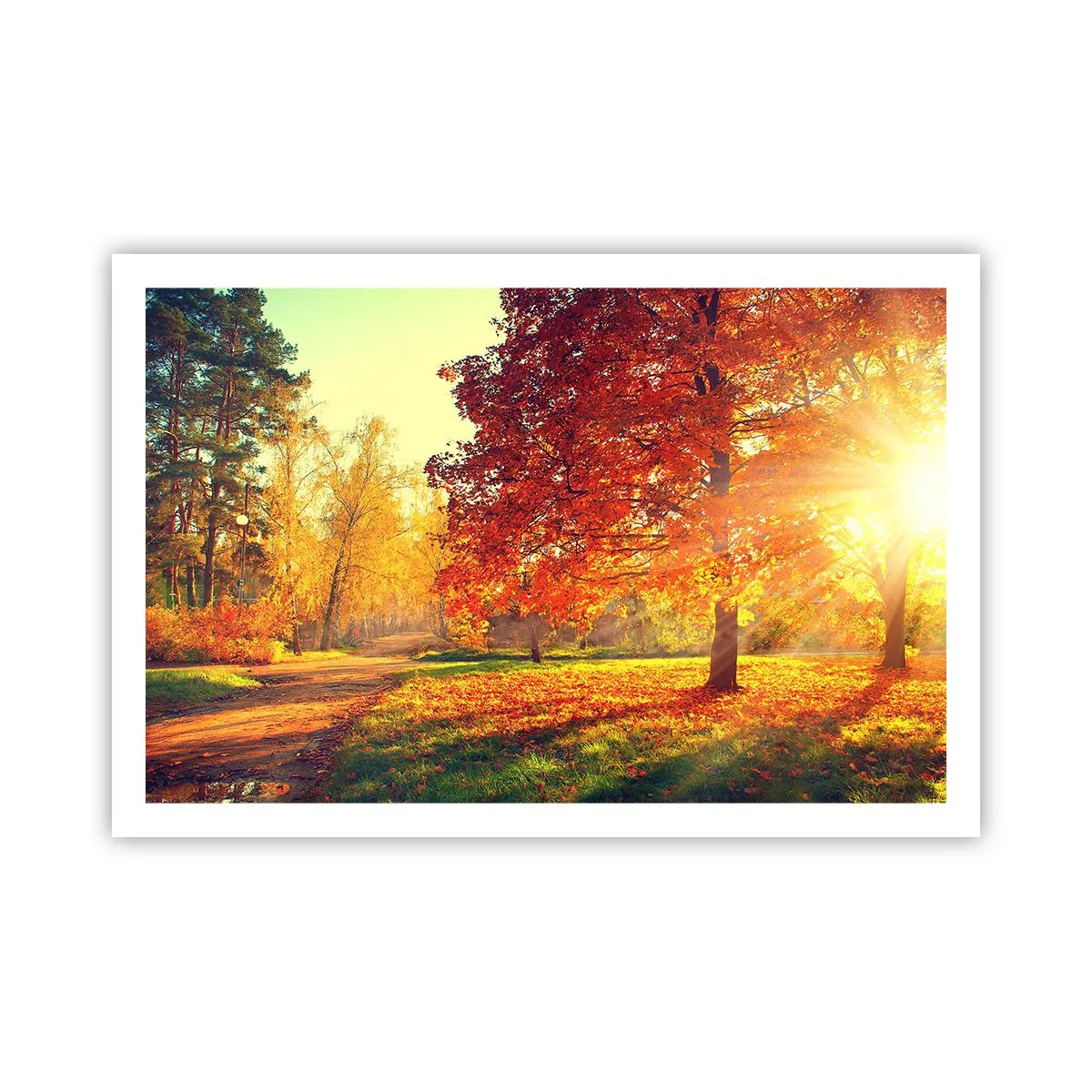 Plagát - Červené je krásne - 91x61 cm