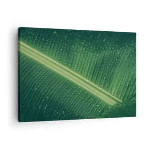 Obraz na plátne - Zelený list s kvapkami vody na jeho povrchu - 70x50cm - Štruktúra zelenej - Moderná nástenná dekorácia do obývacej izby a spálne ARTTOR